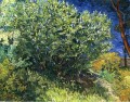 Arbusto lila Vincent van Gogh
